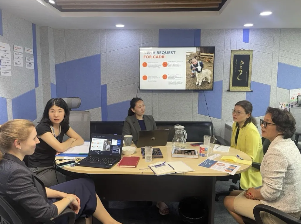 The CADRI Team and UN Resident Coordinator’s Office in Mongolia during the scoping mission | CADRI Secretariat, 2023