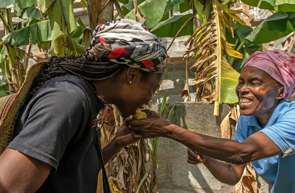 Plantain Plantation Ghana | FAO