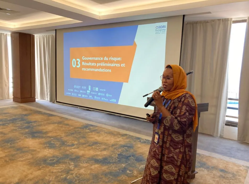 Expert from UNDP Djibouti speaking at the debriefing workshop in May 2024 | SEGRC, 2024