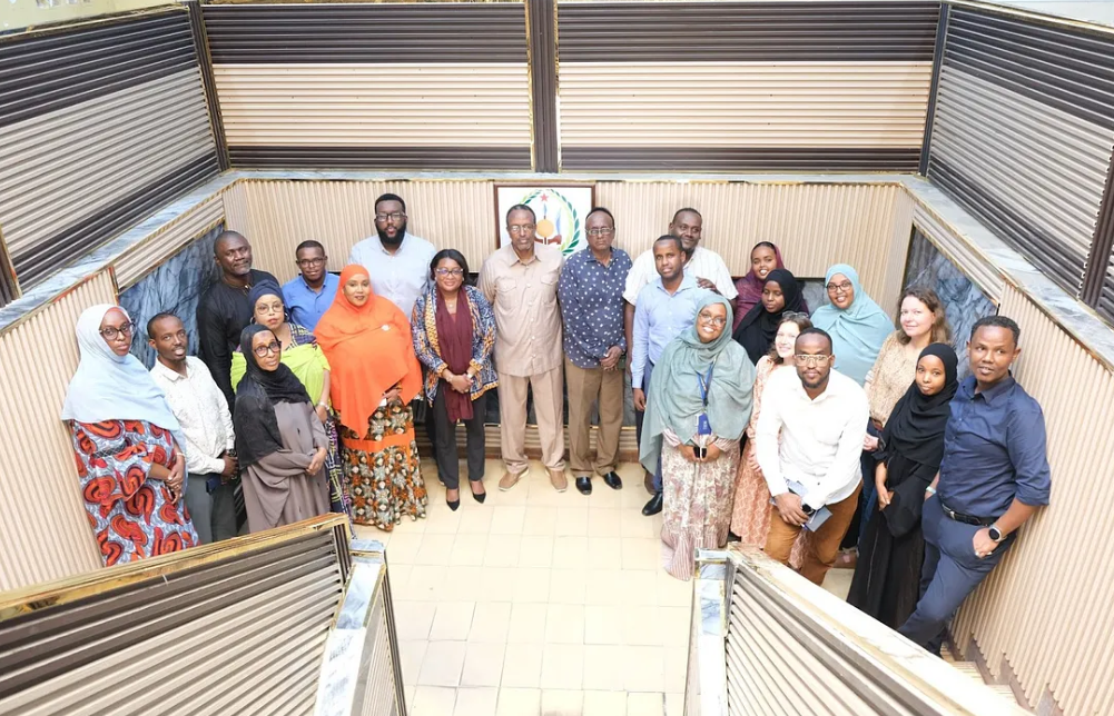 Experts involved in the June 2025 technical validation | UN RCO Djibouti, 2025