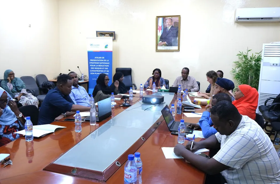 Experts involved in the June 2025 technical validation | UN RCO Djibouti, 2025