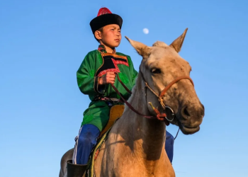 Bolstering Preparedness and Risk Reduction in Mongolia: CADRI Partnership’s Support for the Land of the Eternal Blue Sky