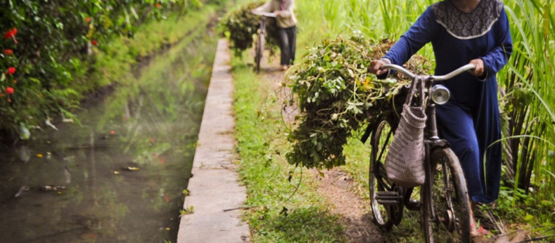 Climate-smart crop production 