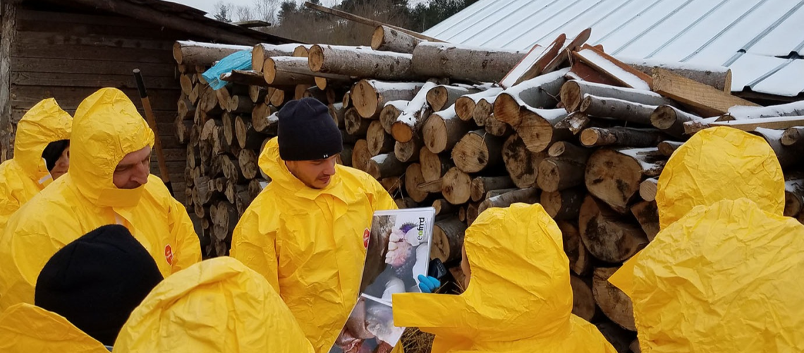 Simulation Exercises for Animal Disease Emergencies 