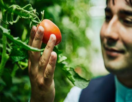 Guy checking out a fruit
