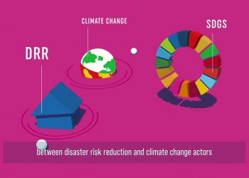 Embedded thumbnail for Animation on Developing National DRR Strategies